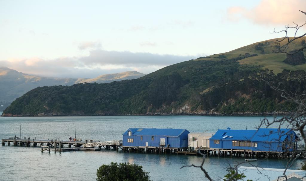 Oinako Bed & Breakfast Akaroa Kültér fotó